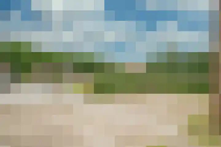 Kleine Dries 23 Holtum thumbnail 46