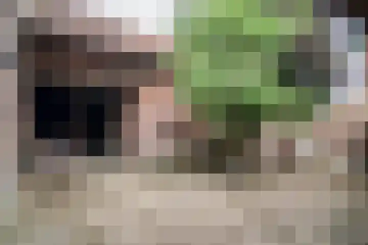 Kleine Dries 23 Holtum thumbnail 56
