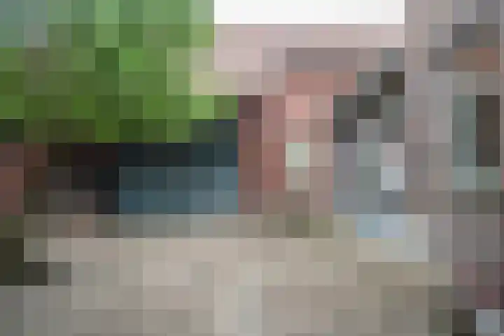 Kleine Dries 23 Holtum thumbnail 58