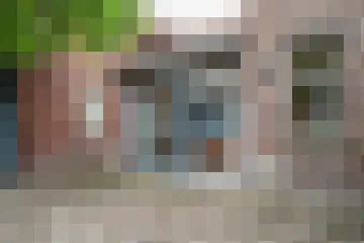 Kleine Dries 23 Holtum thumbnail 59
