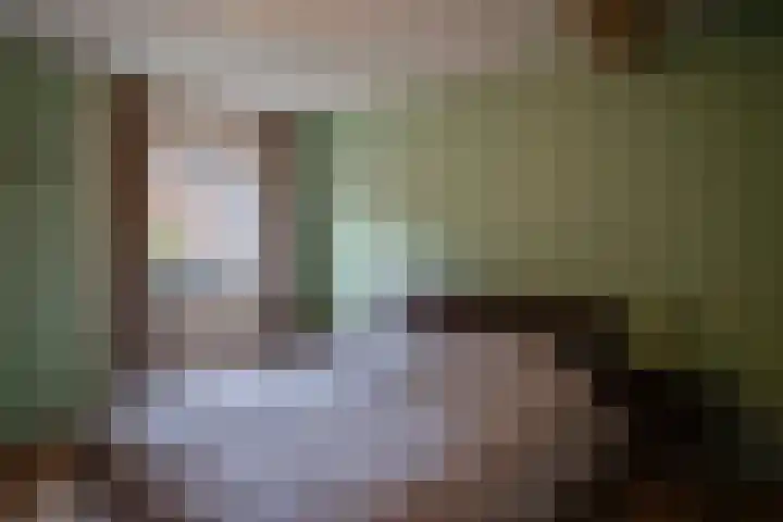Kleine Dries 23 Holtum thumbnail 68
