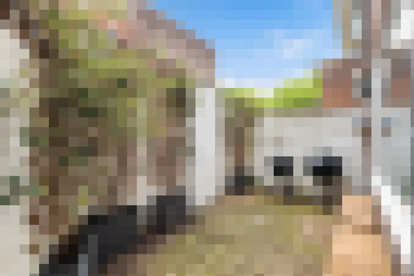 Kleine Drift 71 A Hilversum thumbnail 9