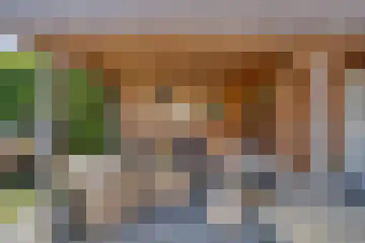 Kleine Eng 15 Lithoijen thumbnail 19