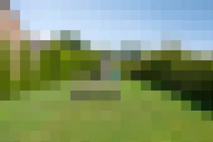 Kleine Eng 15 Lithoijen thumbnail 21