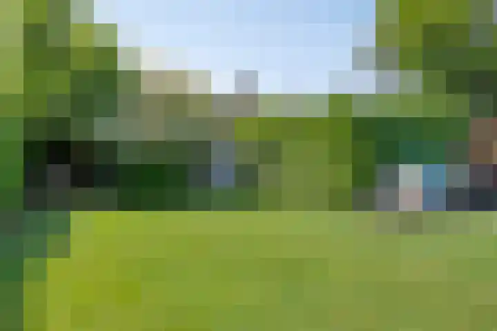 Kleine Eng 15 Lithoijen thumbnail 22