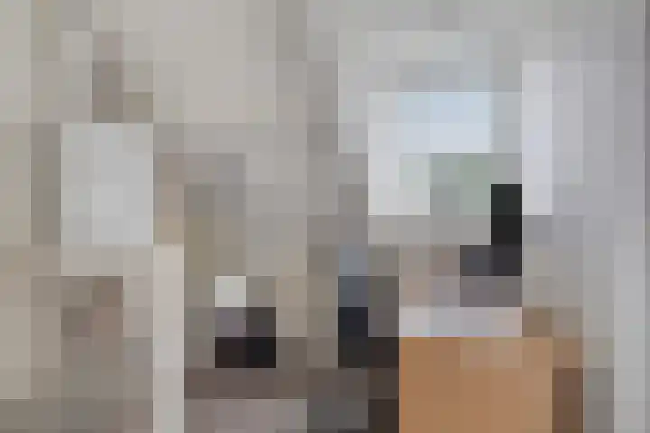 Kleine Eng 15 Lithoijen thumbnail 31