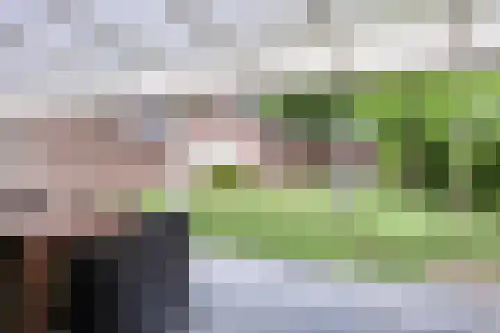 Kleine Eng 25 Lithoijen thumbnail 23