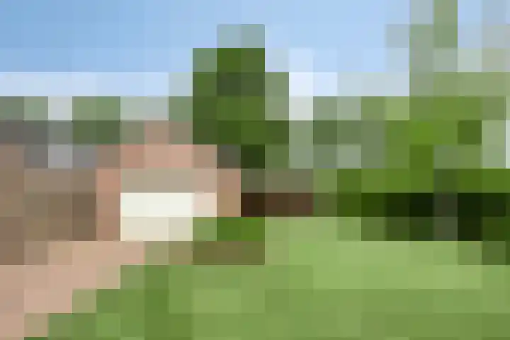 Kleine Eng 25 Lithoijen thumbnail 24