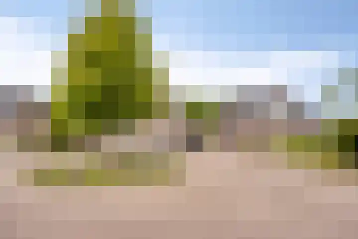 Kleine Eng 25 Lithoijen thumbnail 43