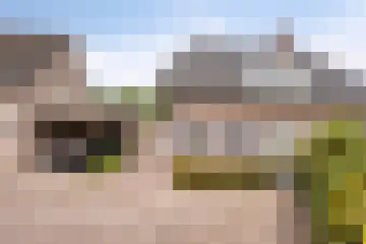 Kleine Eng 25 Lithoijen thumbnail 5