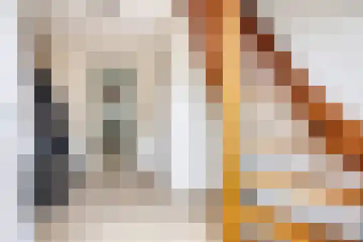 Kleine Eng 25 Lithoijen thumbnail 6