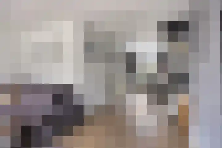 Kleine Eng 9 Lithoijen thumbnail 13