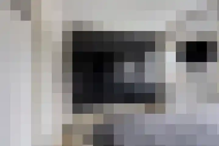 Kleine Eng 9 Lithoijen thumbnail 15