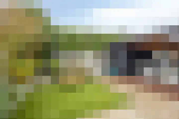Kleine Eng 9 Lithoijen thumbnail 26
