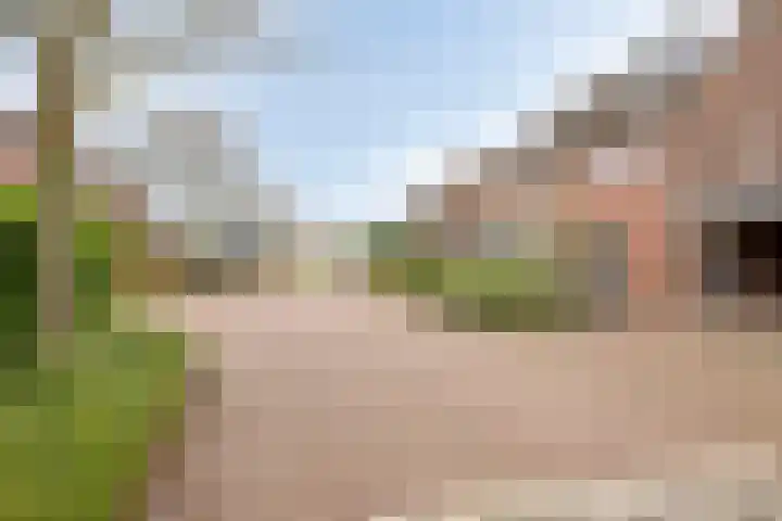 Kleine Eng 9 Lithoijen thumbnail 34