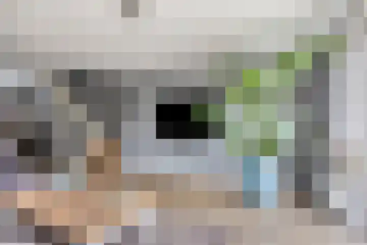 Kleine Eng 9 Lithoijen thumbnail 5