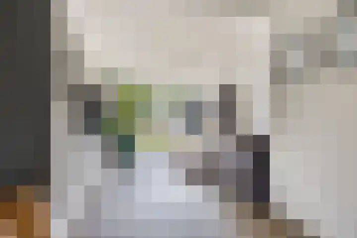 Kleine Eng 9 Lithoijen thumbnail 7