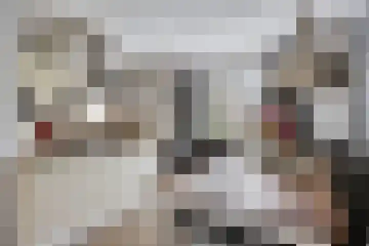 Kleine Eng 9 Lithoijen thumbnail 8