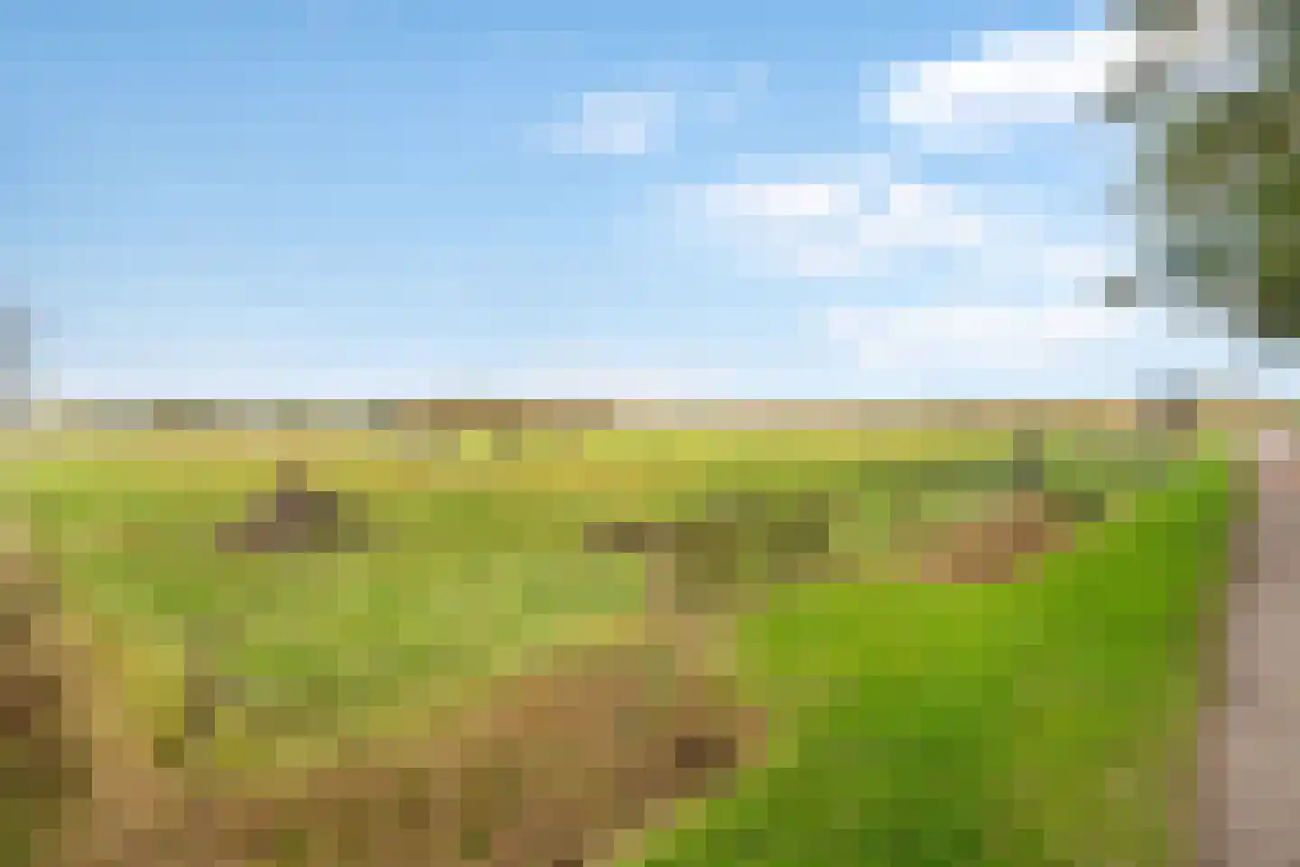 Kleine Esweg 7 Ansen thumbnail 23