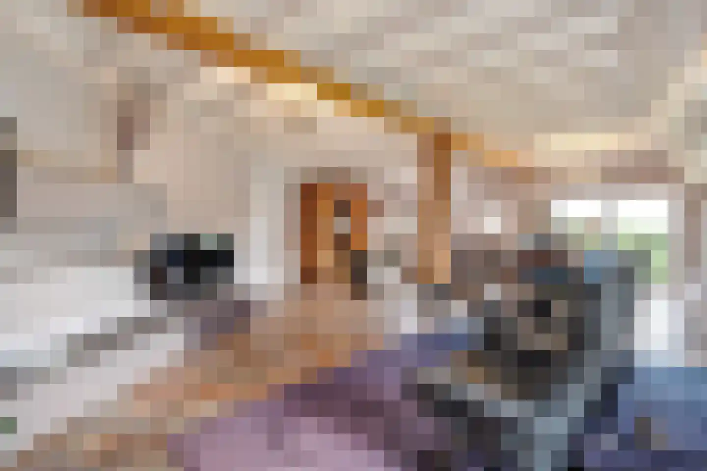 Kleine Esweg 7 Ansen thumbnail 28