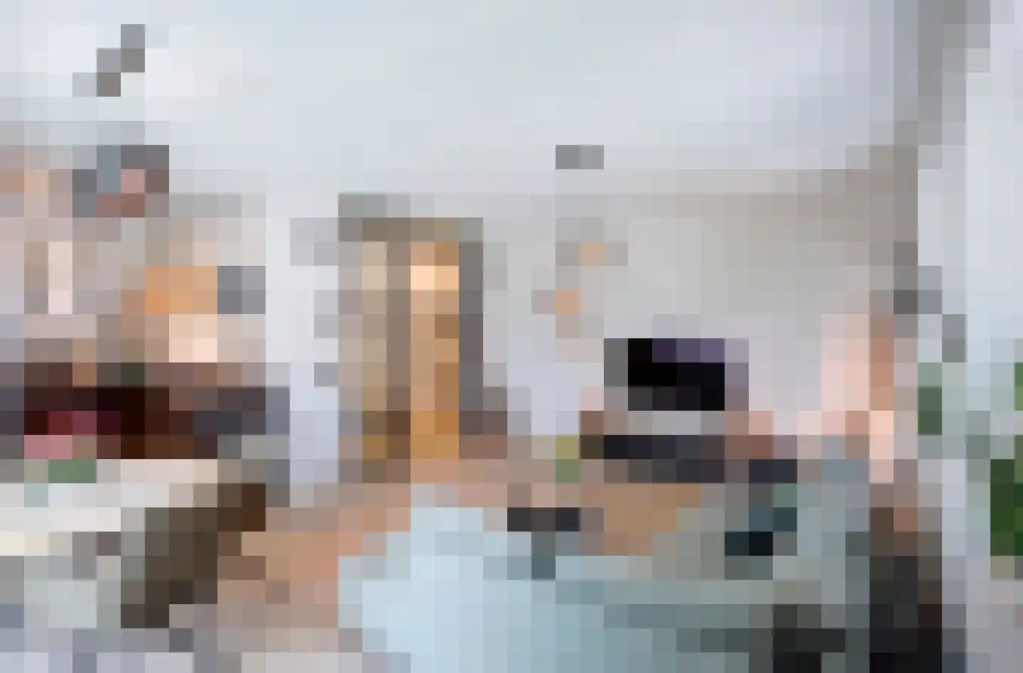 Kleine Geer 23 Haalderen thumbnail 10