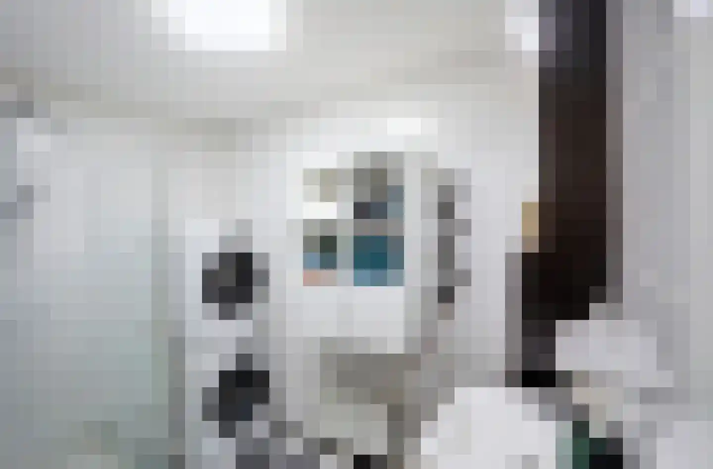 Kleine Geer 23 Haalderen thumbnail 19