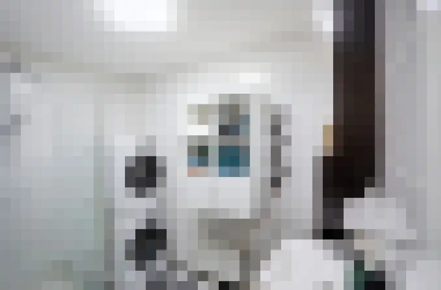 Kleine Geer 23 Haalderen thumbnail 5