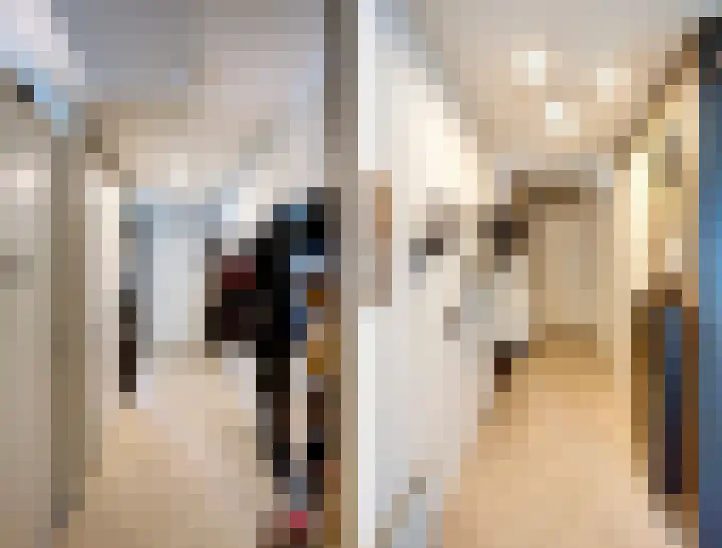 Kleine Geer 23 Haalderen thumbnail 7