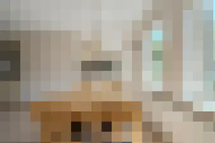 Kleine Geldebosch 3 Heerhugowaard thumbnail 11