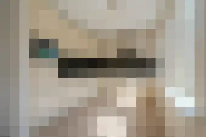 Kleine Geldebosch 3 Heerhugowaard thumbnail 13