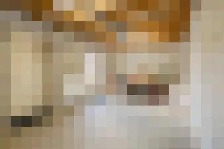 Kleine Geldebosch 3 Heerhugowaard thumbnail 19