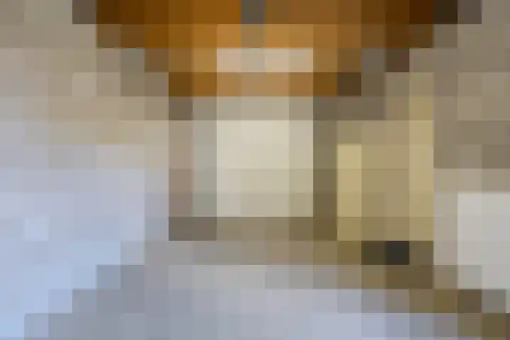 Kleine Geldebosch 3 Heerhugowaard thumbnail 20