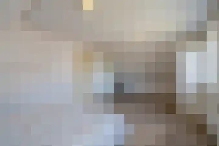 Kleine Geldebosch 3 Heerhugowaard thumbnail 26