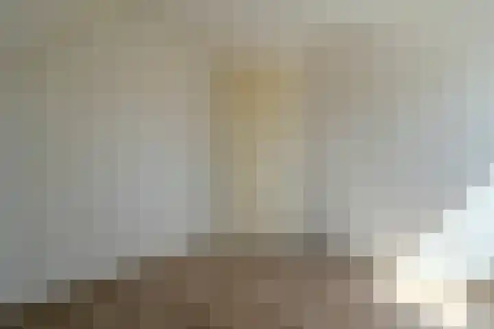 Kleine Geldebosch 3 Heerhugowaard thumbnail 34
