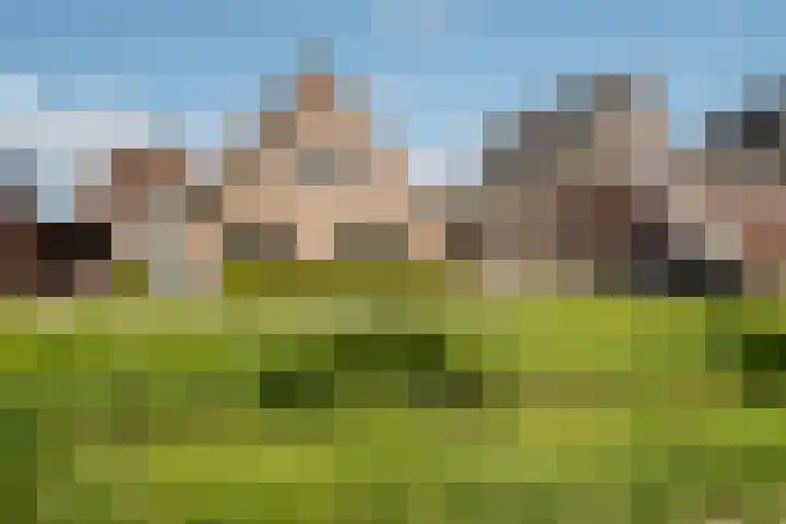 Kleine Geldebosch 3 Heerhugowaard thumbnail 47