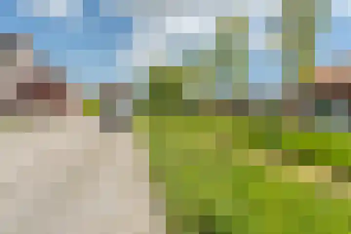 Kleine Geldebosch 3 Heerhugowaard thumbnail 48