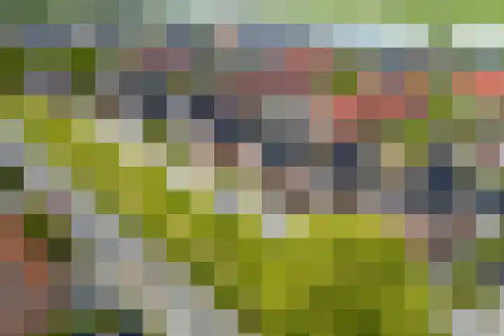 Kleine Geldebosch 3 Heerhugowaard thumbnail 51