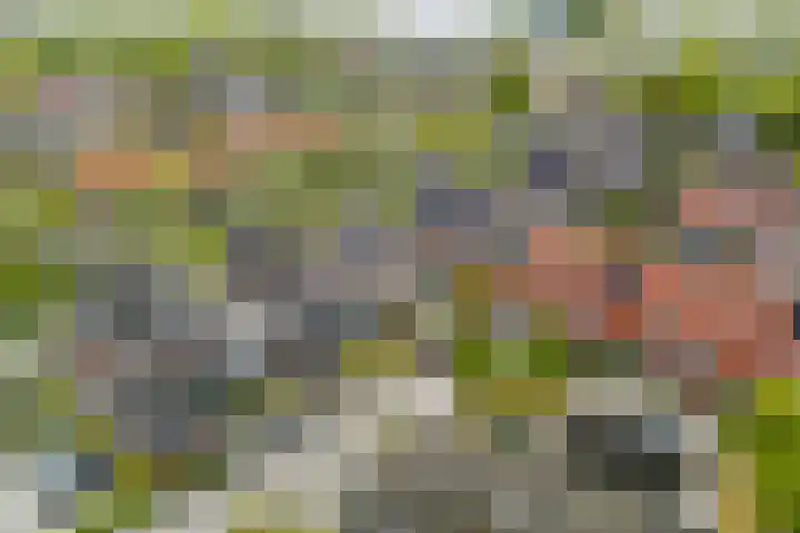 Kleine Geldebosch 3 Heerhugowaard thumbnail 52