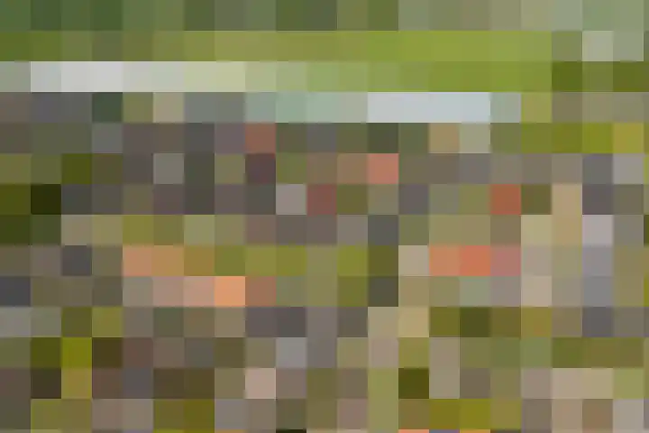Kleine Geldebosch 3 Heerhugowaard thumbnail 53