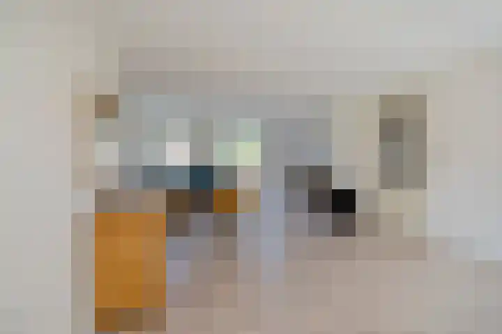 Kleine Geldebosch 3 Heerhugowaard thumbnail 7