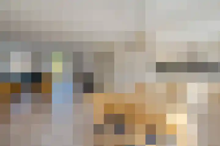 Kleine Geldebosch 3 Heerhugowaard thumbnail 9