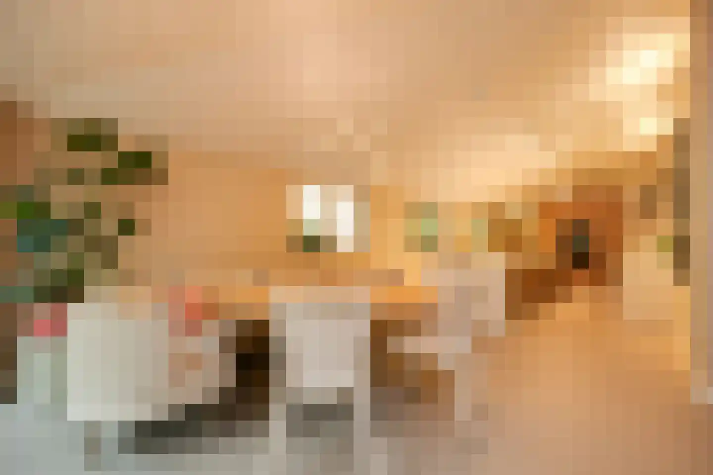 Kleine Gent 7 B Vught thumbnail 8