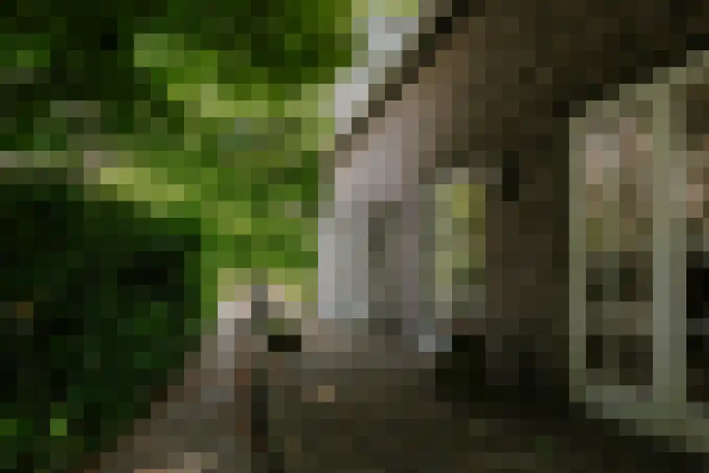 Kleine Gent 9 Vught thumbnail 10