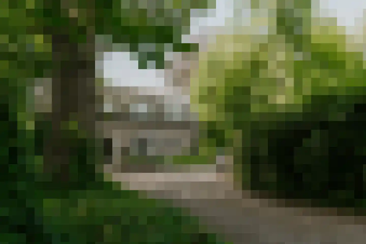 Kleine Gent 9 Vught thumbnail 4