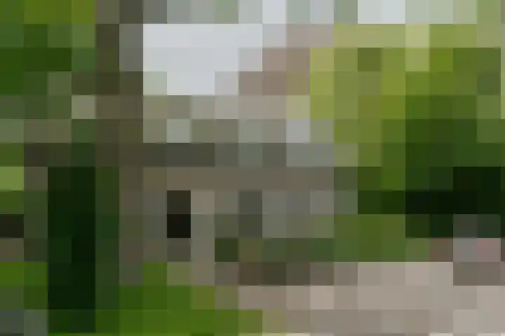 Kleine Gent 9 Vught thumbnail 6