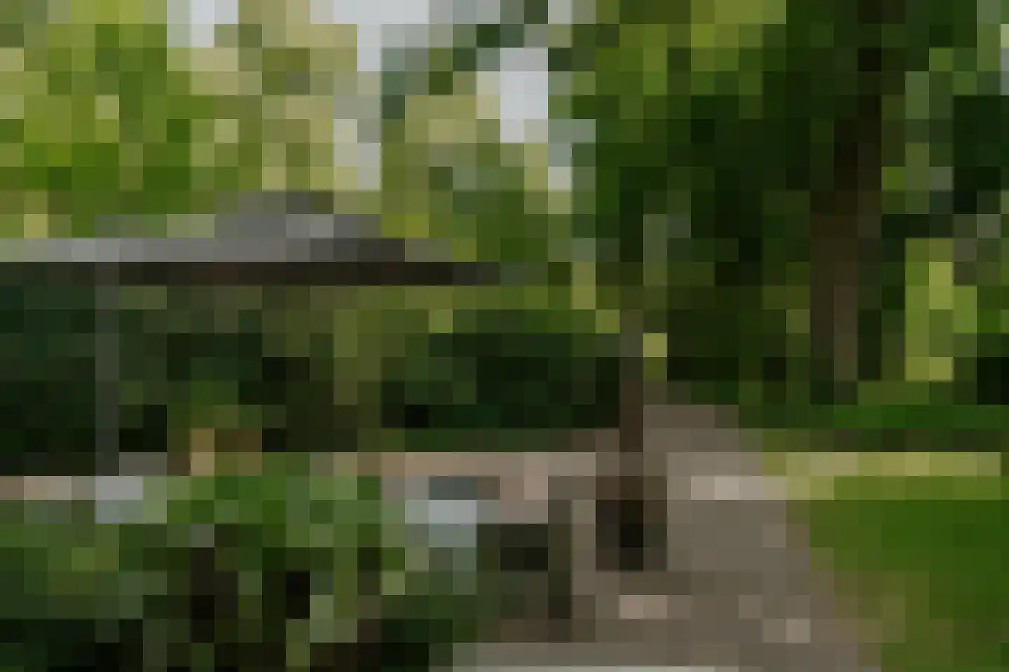 Kleine Gent 9 Vught thumbnail 7