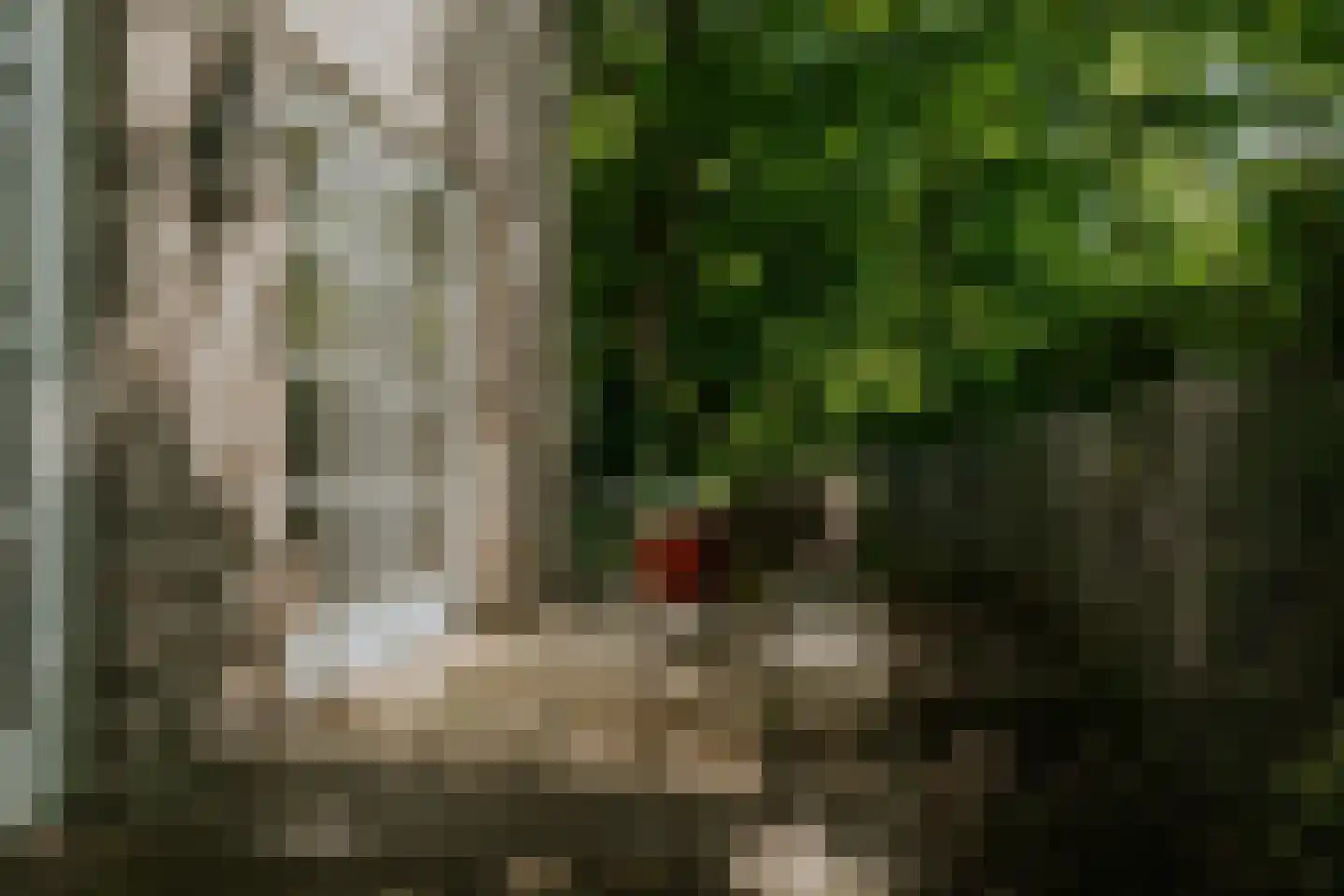Kleine Gent 9 Vught thumbnail 8