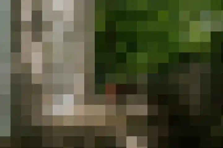 Kleine Gent 9 Vught thumbnail 8