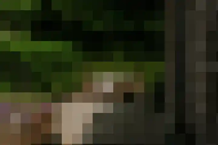 Kleine Gent 9 Vught thumbnail 9