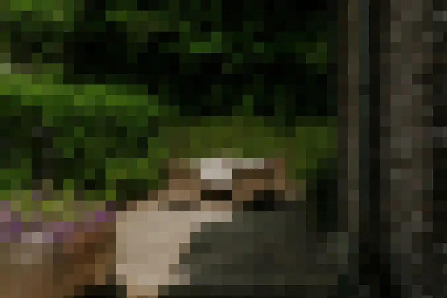 Kleine Gent 9 Vught thumbnail 9